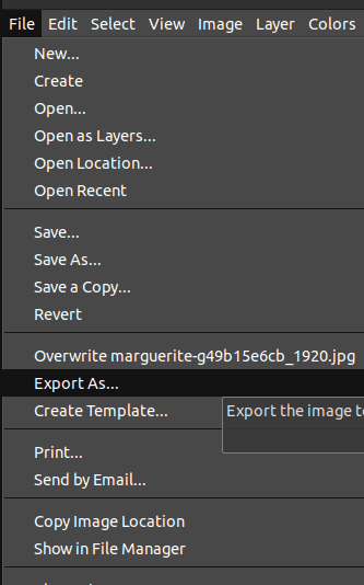 Exporting images