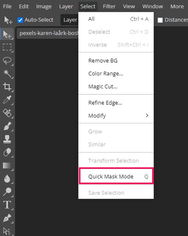 quick mask mode selections in photopea