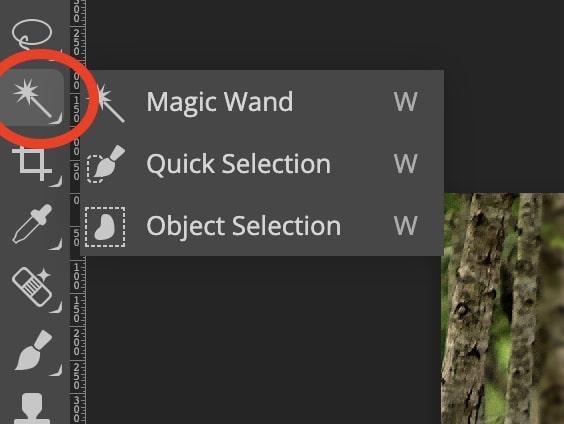 Magic Selection tool photopea