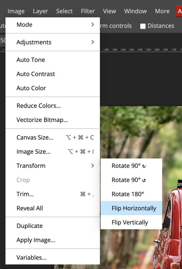 Flip canvas options in photopea