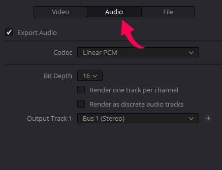 Audio Export Settings In Davinci Resolve