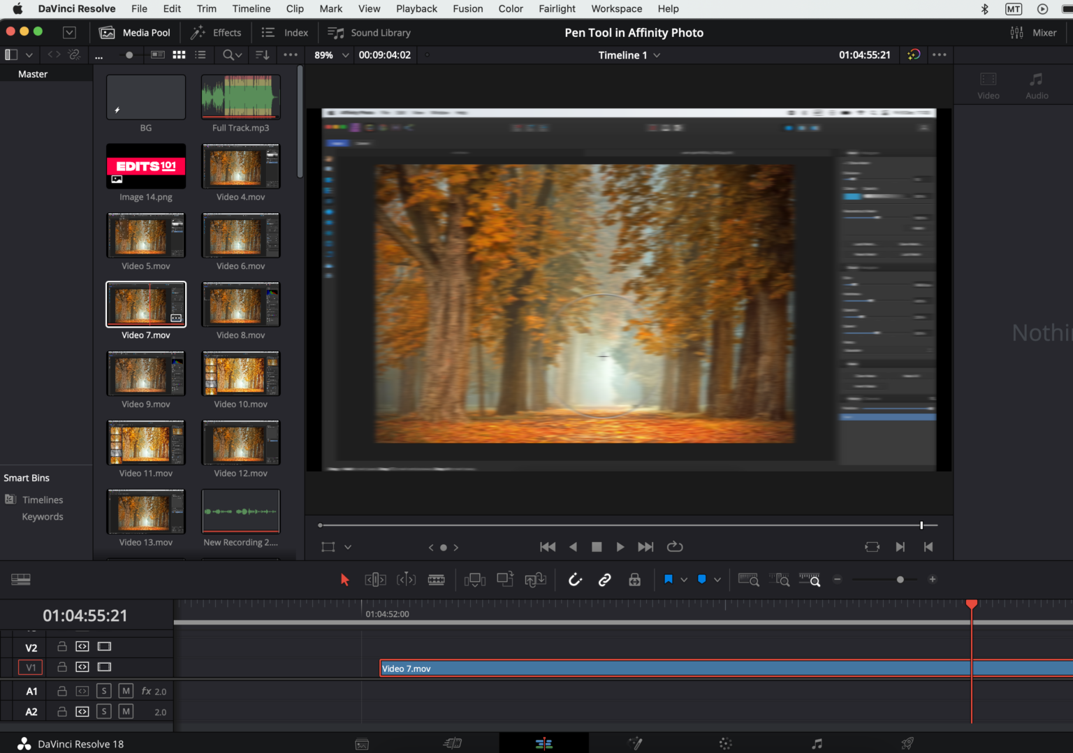 Adding Adjustment Clips In DaVinci Resolve 18 | Detailed Tutorial ...