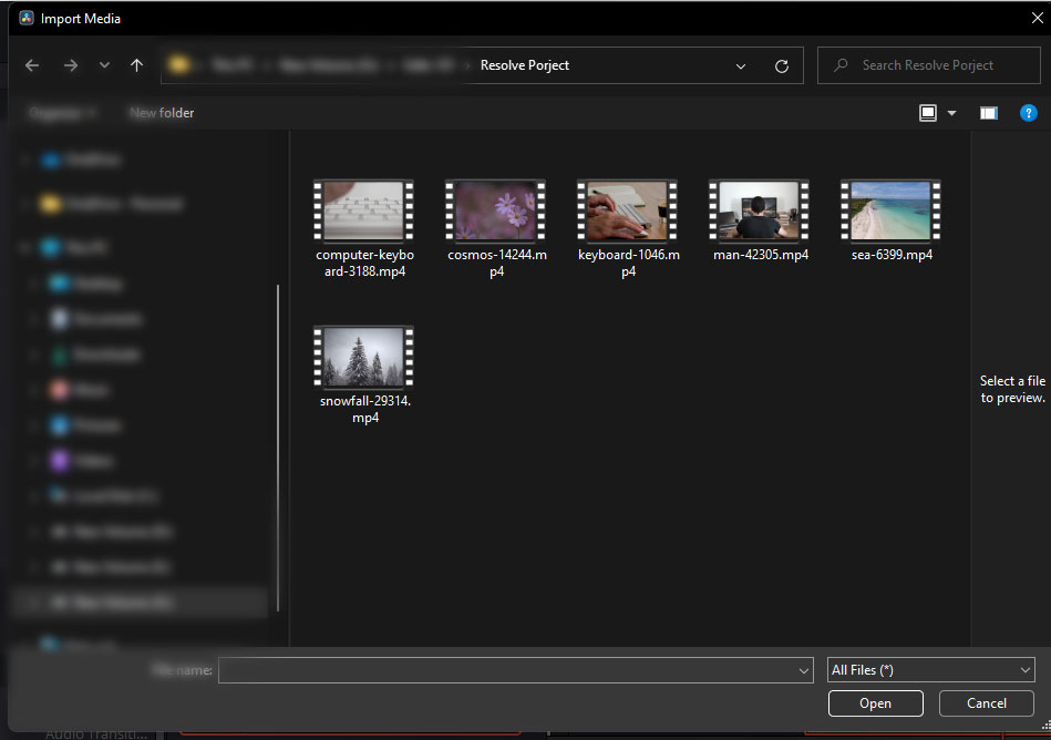 Select and open clips In Davinci Resolve