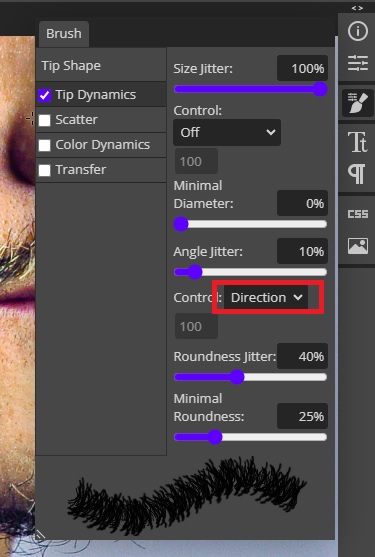 brush tip dynamics in Photopea