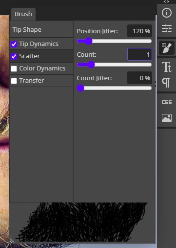 brush scatter settings in Photopea