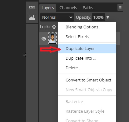 Duplicate layer in Photopea