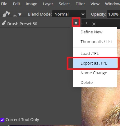 Export Brush in Photopea