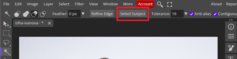 Select Subject Option in Photopea
