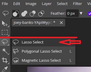 Lasso Select tool in photopea