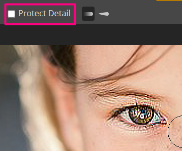 A screenshot of an image with disabled Protect Detail.