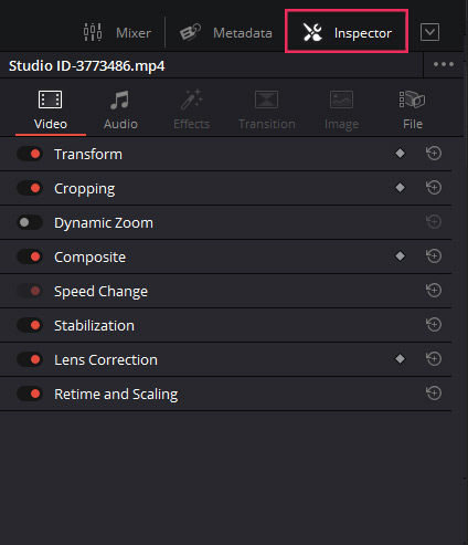 Settings Available in Davinci Resolve inspector