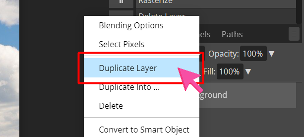 Duplicate Layer button from the drop-down menu at the layers panel.