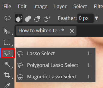 Left toolbar of Photopea showing Lasso Select Options.