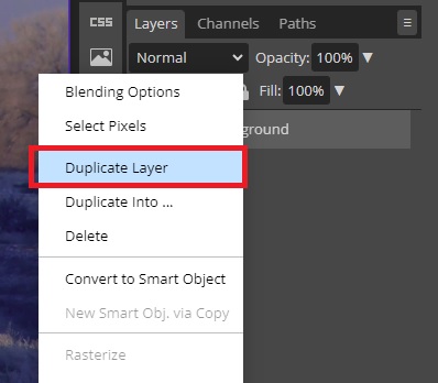 Duplicate Layer in Photopea