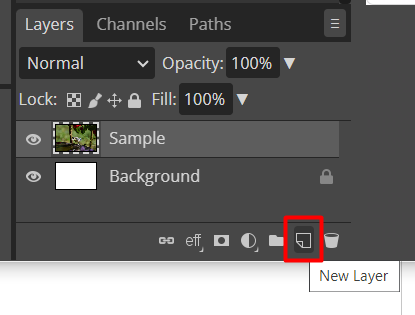 Add a New Layer button at the Layers panel.