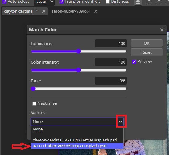 Match Color Window in Photopea