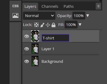 rename a layer in Photopea
