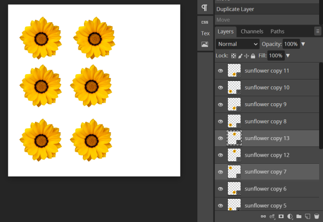 Six aligned duplicated layers and subjects (sunflower).