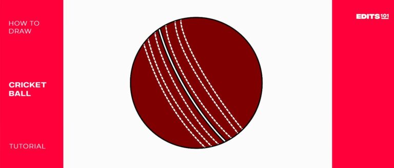 How to Draw a Cricket Ball | A Fun and Easy Guide