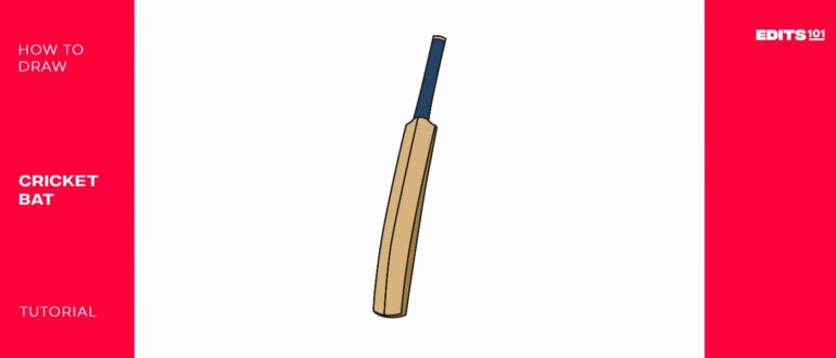 How to Draw a Cricket Bat | Step by Step Guide